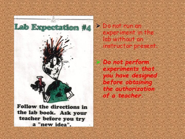 Ø Do not run an experiment in the lab without an instructor present. Ø