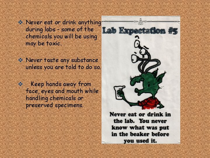 v Never eat or drink anything during labs - some of the chemicals you