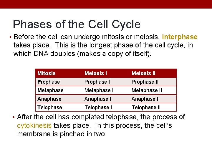 Phases of the Cell Cycle • Before the cell can undergo mitosis or meiosis,