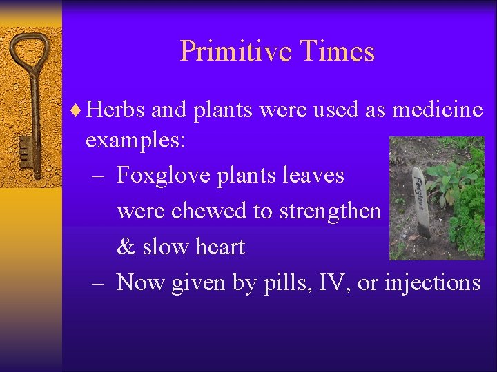 Primitive Times ¨ Herbs and plants were used as medicine examples: – Foxglove plants