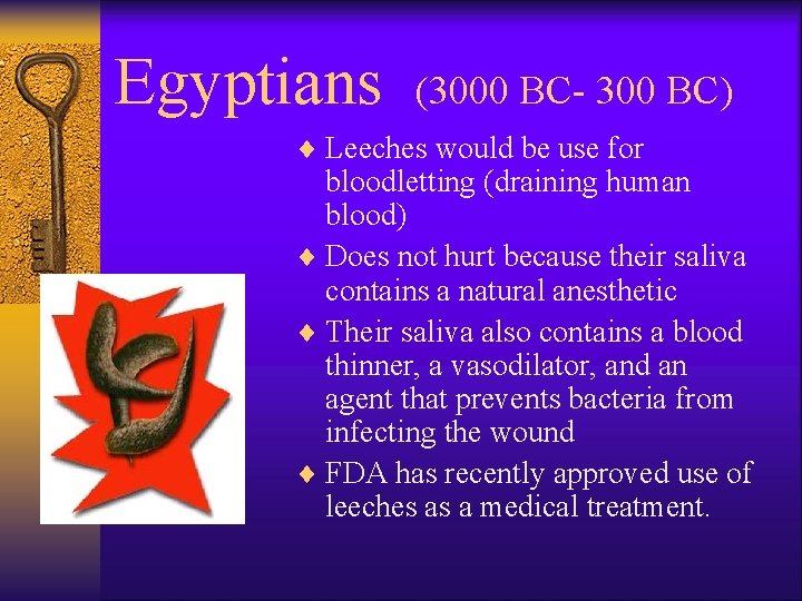 Egyptians (3000 BC- 300 BC) ¨ Leeches would be use for bloodletting (draining human