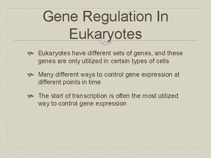 Gene Regulation In Eukaryotes have different sets of genes, and these genes are only