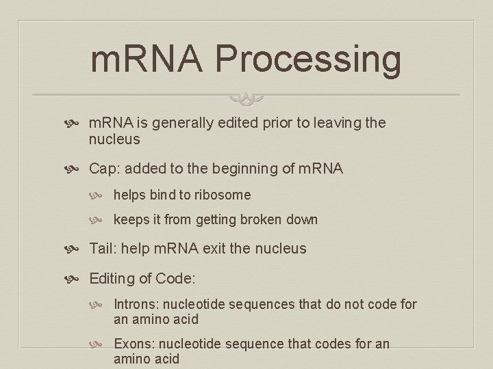 m. RNA Processing m. RNA is generally edited prior to leaving the nucleus Cap: