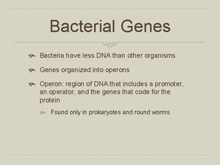 Bacterial Genes Bacteria have less DNA than other organisms Genes organized into operons Operon: