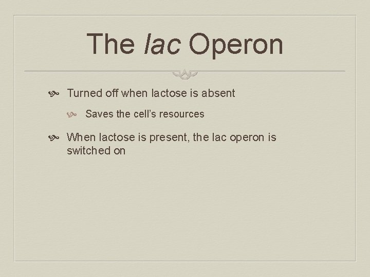 The lac Operon Turned off when lactose is absent Saves the cell’s resources When