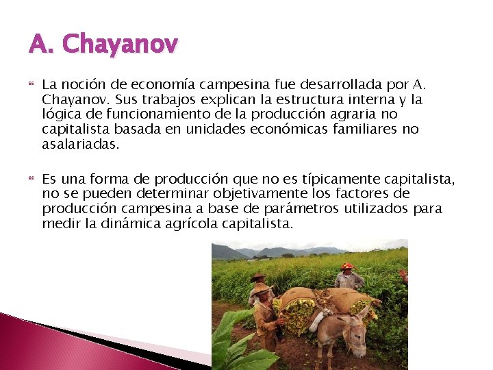 A. Chayanov La noción de economía campesina fue desarrollada por A. Chayanov. Sus trabajos