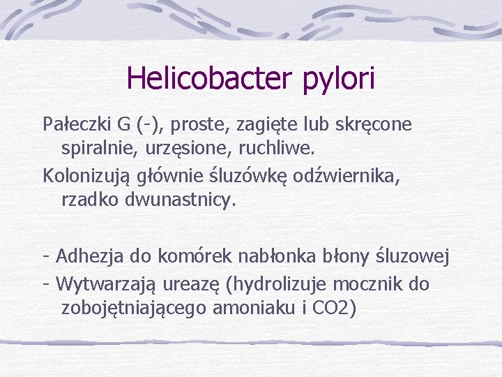 Helicobacter pylori Pałeczki G (-), proste, zagięte lub skręcone spiralnie, urzęsione, ruchliwe. Kolonizują głównie