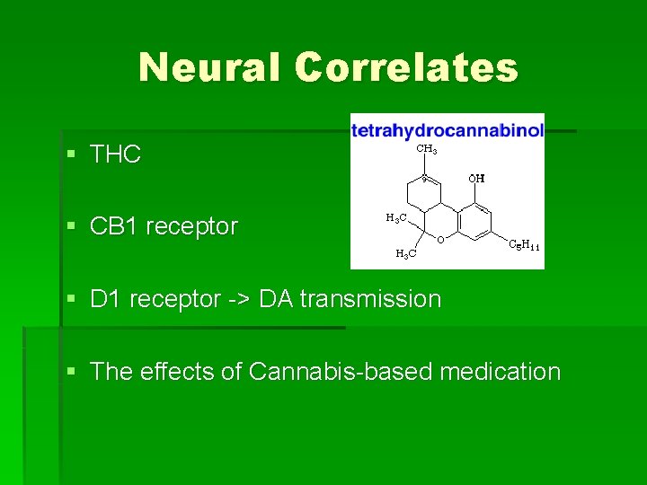 Neural Correlates § THC § CB 1 receptor § D 1 receptor -> DA