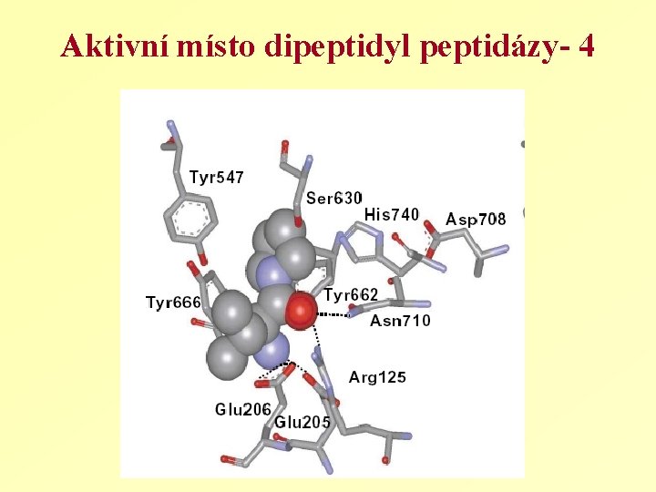 Aktivní místo dipeptidyl peptidázy- 4 