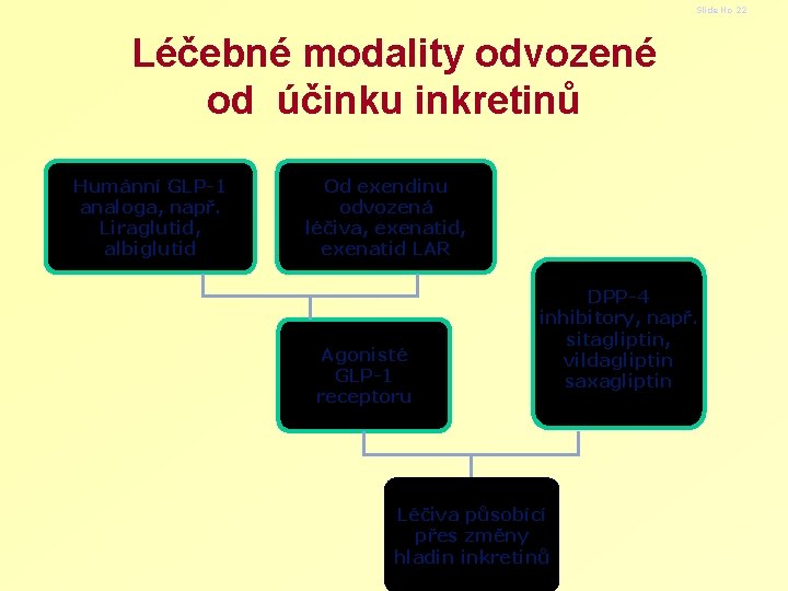 Slide No 22 Léčebné modality odvozené od účinku inkretinů Humánní GLP-1 analoga, např. Liraglutid,