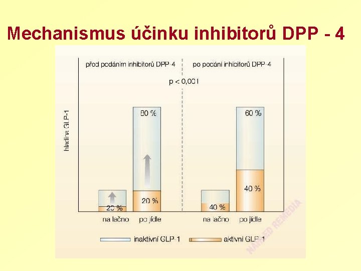 Mechanismus účinku inhibitorů DPP - 4 