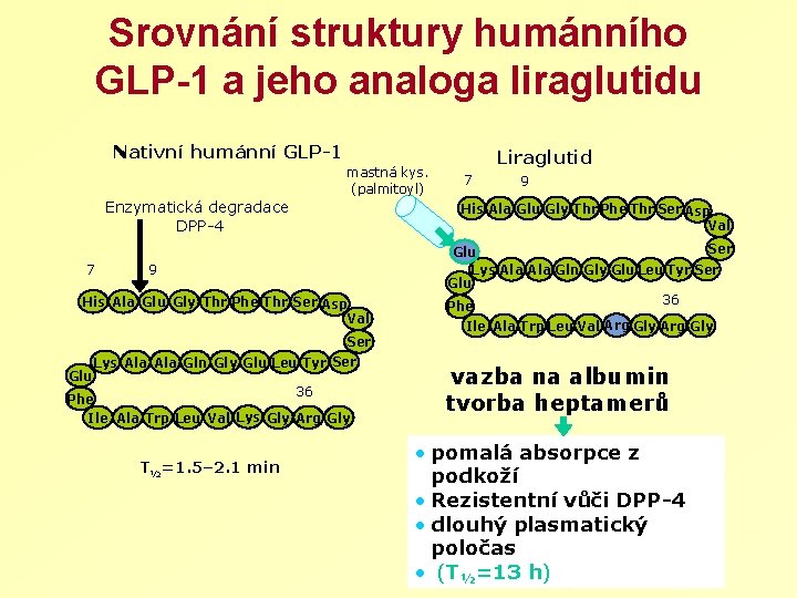 Srovnání struktury humánního GLP-1 a jeho analoga liraglutidu Nativní humánní GLP-1 mastná kys. (palmitoyl)