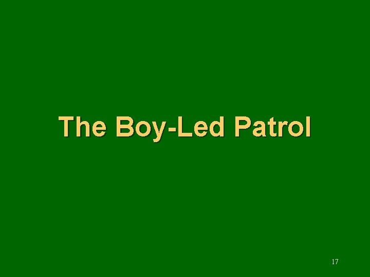 The Boy-Led Patrol 17 