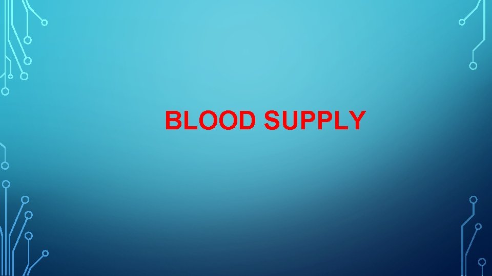 BLOOD SUPPLY 