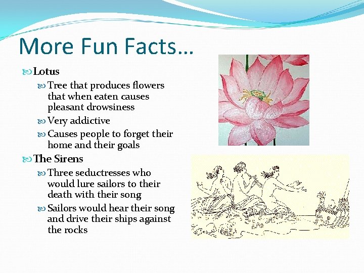 More Fun Facts… Lotus Tree that produces flowers that when eaten causes pleasant drowsiness