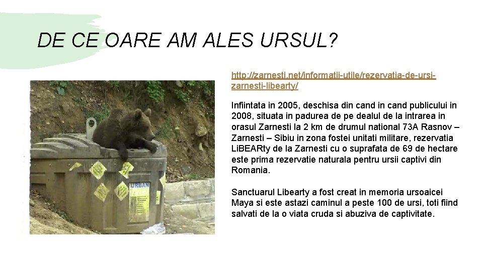 DE CE OARE AM ALES URSUL? http: //zarnesti. net/informatii-utile/rezervatia-de-ursizarnesti-libearty/ Infiintata in 2005, deschisa din