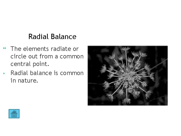 Radial Balance The elements radiate or circle out from a common central point. •