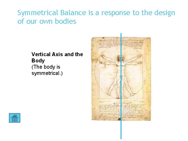 Symmetrical Balance is a response to the design of our own bodies Vertical Axis