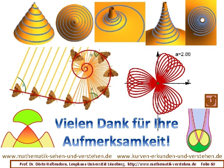 www. mathematik-sehen-und-verstehen. de www. kurven-erkunden-und-verstehen. de Prof. Dr. Dörte Haftendorn, Leuphana Universität Lüneburg, http: