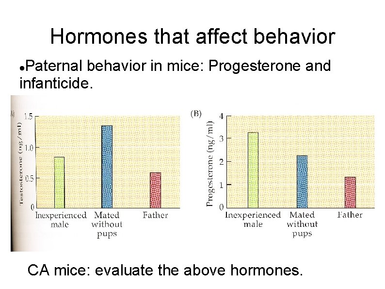 Hormones that affect behavior Paternal behavior in mice: Progesterone and infanticide. CA mice: evaluate