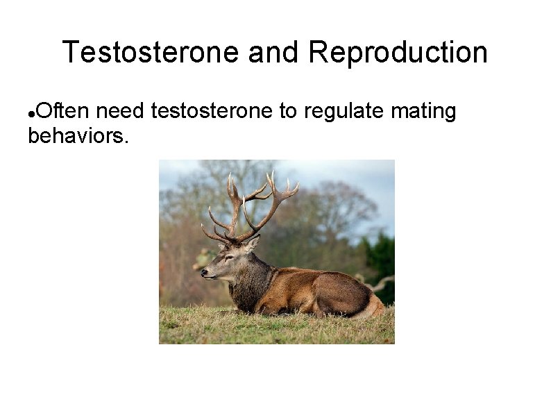 Testosterone and Reproduction Often need testosterone to regulate mating behaviors. 