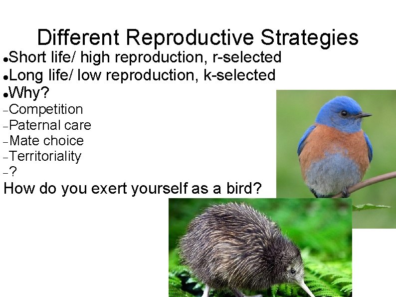 Different Reproductive Strategies Short life/ high reproduction, r-selected Long life/ low reproduction, k-selected Why?