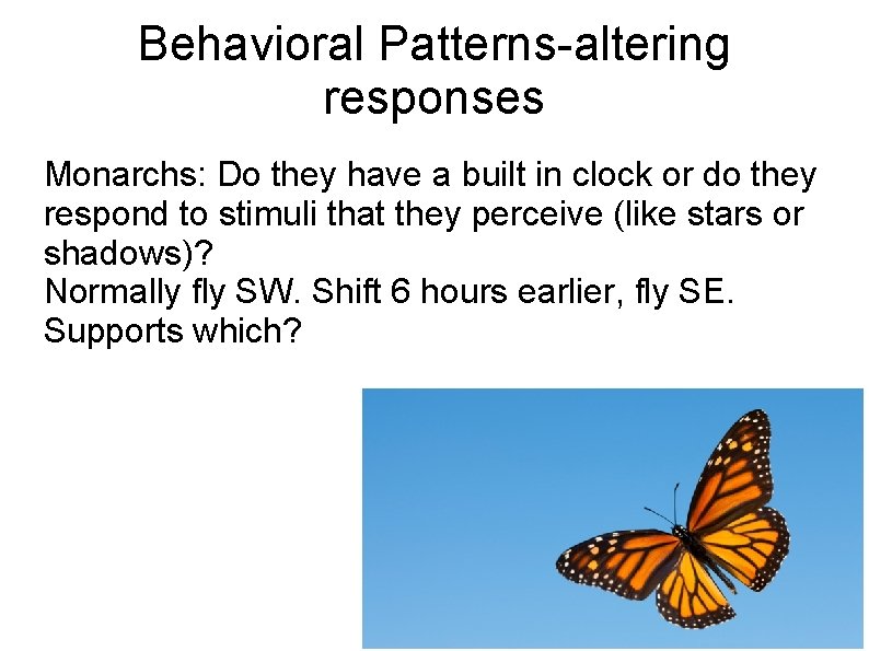 Behavioral Patterns-altering responses Monarchs: Do they have a built in clock or do they