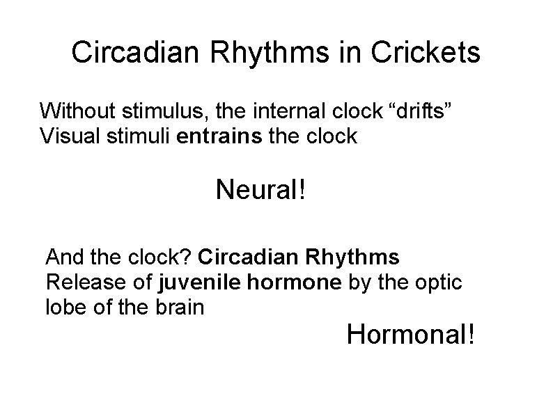 Circadian Rhythms in Crickets Without stimulus, the internal clock “drifts” Visual stimuli entrains the