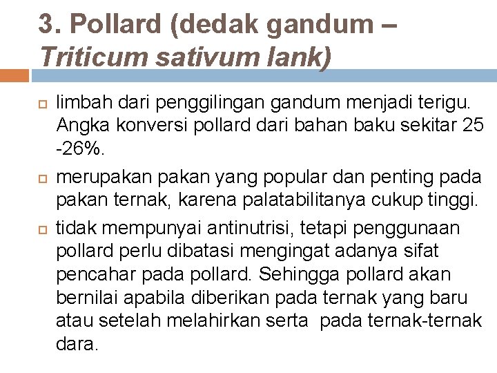 3. Pollard (dedak gandum – Triticum sativum lank) limbah dari penggilingan gandum menjadi terigu.
