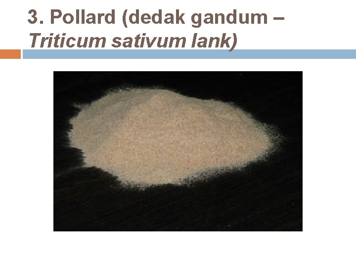 3. Pollard (dedak gandum – Triticum sativum lank) 