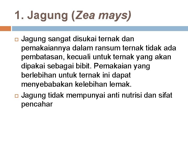 1. Jagung (Zea mays) Jagung sangat disukai ternak dan pemakaiannya dalam ransum ternak tidak