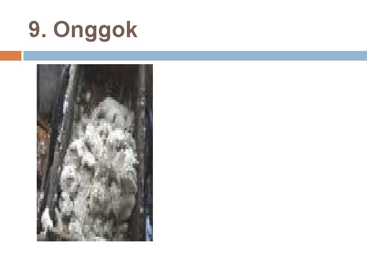 9. Onggok 