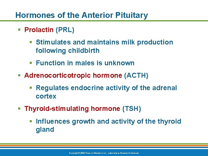Hormones of the Anterior Pituitary § Prolactin (PRL) § Stimulates and maintains milk production