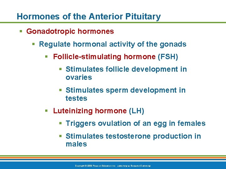 Hormones of the Anterior Pituitary § Gonadotropic hormones § Regulate hormonal activity of the