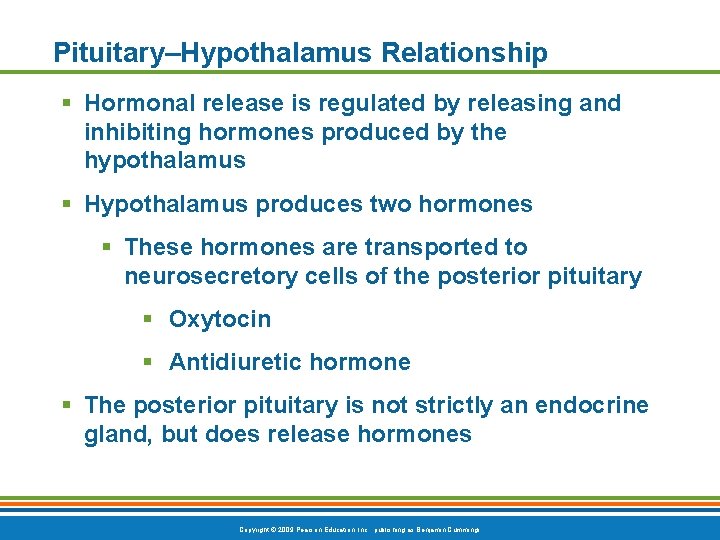 Pituitary–Hypothalamus Relationship § Hormonal release is regulated by releasing and inhibiting hormones produced by