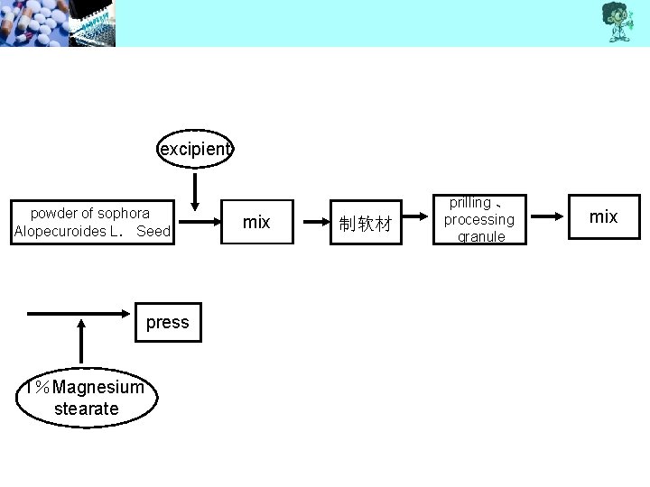excipient powder of sophora AIopecuroides L． Seed press 1％Magnesium stearate mix 制软材 prilling 、