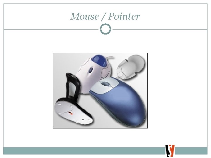 Mouse / Pointer 