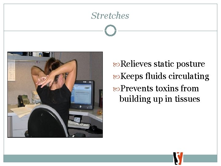 Stretches Relieves static posture Keeps fluids circulating Prevents toxins from building up in tissues