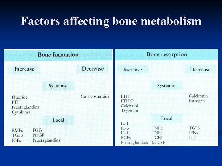 Factors affecting bone metabolism 