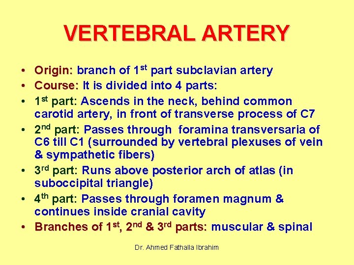VERTEBRAL ARTERY • Origin: branch of 1 st part subclavian artery • Course: It