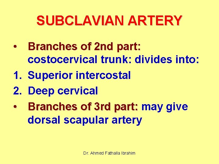 SUBCLAVIAN ARTERY • Branches of 2 nd part: costocervical trunk: divides into: 1. Superior