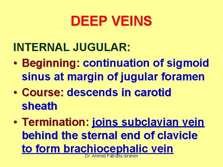DEEP VEINS INTERNAL JUGULAR: • Beginning: continuation of sigmoid sinus at margin of jugular