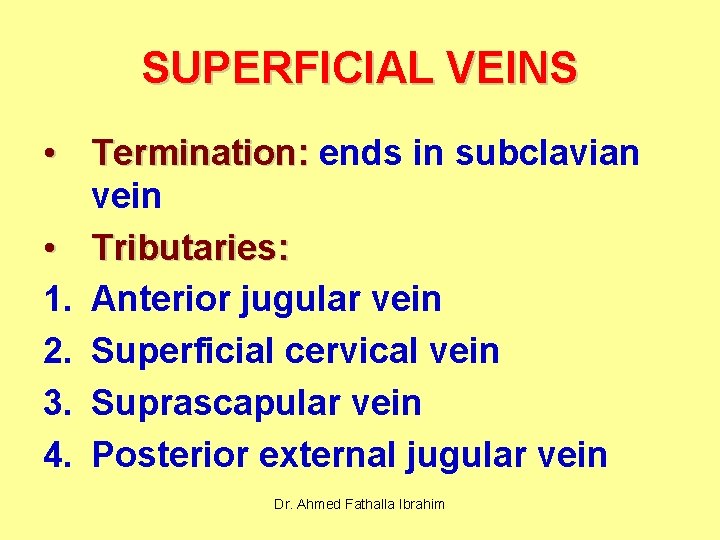 SUPERFICIAL VEINS • Termination: ends in subclavian vein • Tributaries: 1. Anterior jugular vein