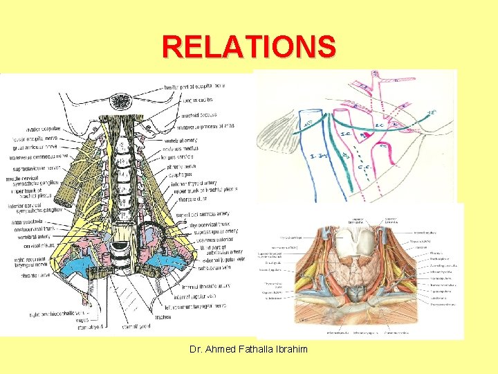 RELATIONS Dr. Ahmed Fathalla Ibrahim 