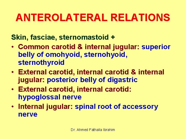 ANTEROLATERAL RELATIONS Skin, fasciae, sternomastoid + • Common carotid & internal jugular: superior belly