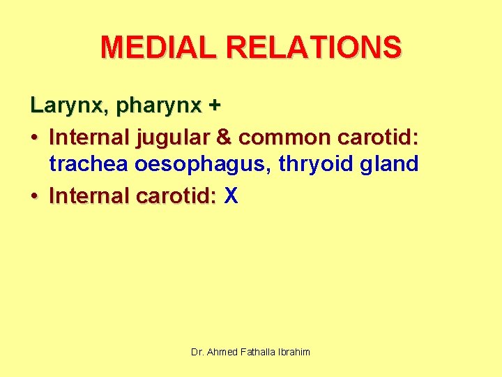 MEDIAL RELATIONS Larynx, pharynx + • Internal jugular & common carotid: trachea oesophagus, thryoid