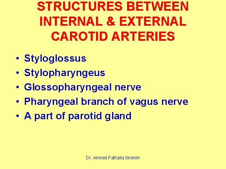STRUCTURES BETWEEN INTERNAL & EXTERNAL CAROTID ARTERIES • • • Styloglossus Stylopharyngeus Glossopharyngeal nerve