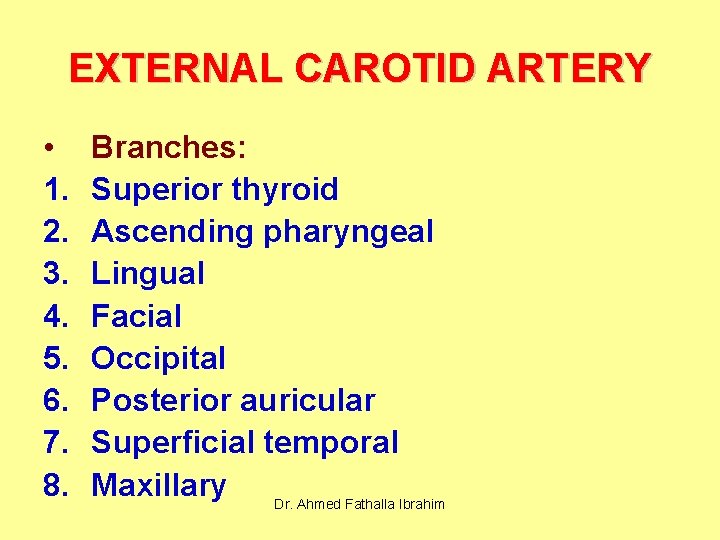EXTERNAL CAROTID ARTERY • 1. 2. 3. 4. 5. 6. 7. 8. Branches: Superior
