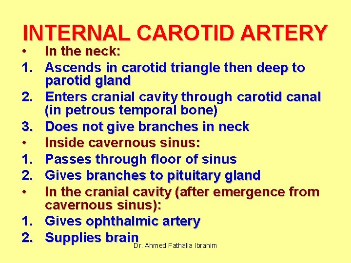INTERNAL CAROTID ARTERY • In the neck: 1. Ascends in carotid triangle then deep