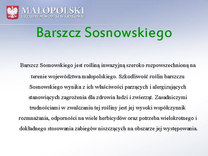 Barszcz Sosnowskiego jest rośliną inwazyjną szeroko rozpowszechnioną na terenie województwa małopolskiego. Szkodliwość roślin barszczu